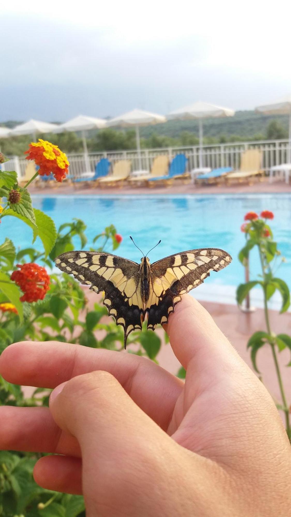 Calamon Apartments Episkopi  Exterior photo