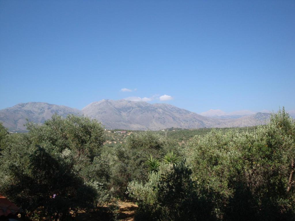 Calamon Apartments Episkopi  Exterior photo