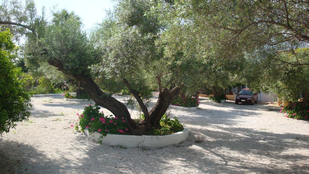 Calamon Apartments Episkopi  Exterior photo