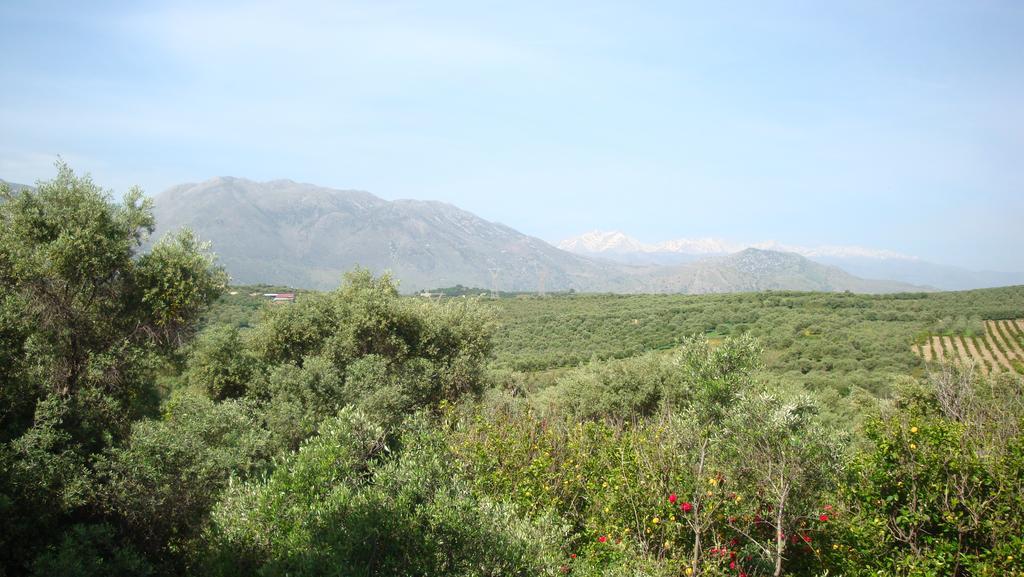 Calamon Apartments Episkopi  Exterior photo